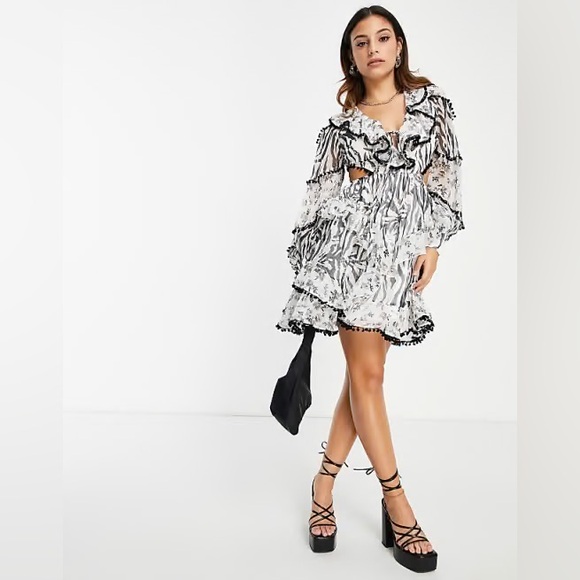 ✨NWT~ASOS Ruffle Zebra 🦓 Dress✨ - Picture 3 of 6